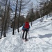...nel bosco...