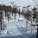 Rifugio Cai Saronno