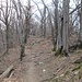 Terminata Via Cranno, si imbocca un sentiero nel bosco che raggiunge il crinale che divide la Val Ravella dalla Valbrona e che poi lo percorre integralmente.