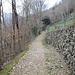 Anche se sono zone che conosco molto bene, si scopre sempre qualche sentiero nuovo, come questo, che mi ha permesso di andare da Canzo a Scarenna senza percorrere la strada asfaltata della Vallassina.