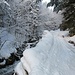 Ausser der Skiroute gibt es noch den Hüttenweg zur Todtnauer und Sankt Wilhelmer Hütte
