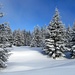 Unberührte Winterlandschaft auf dem Stübenwasen