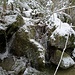 ... und grosse Nagelfluhblöcke im Widenbach