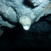 Foto der zweiten Tour:<br /><br />Ein Tropfen an der Höhlendecke mit Kalkausscheidungen, so beginnt ein Stalaktit an zu wachsen.