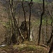 Foto der zweiten Tour:<br /><br />Ein auffälliger Felsvorsprung beim Spitzflüeli (P.709m). Von ihm hat man eine schöne Aussicht.