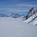 Der Nebel ist gestiegen. <br />Die Hasenspur verläuft übrigens vom Längeneggpass bis zum Breitchamm. Vermutlich haben ihn Skitourengänger so weit herumgehetzt ..