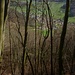 Foto der zweiten Tour:<br /><br />Tiefblick vom steilen Wald (Unter dem Berg) unterhalb der Bürenflue auf Büren (441m). Da die Bäume noch kahl sind hat man trotz Wald immer wieder eine schöne Aussicht.