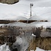 Eis auch am Brunnen - unterhalb Rigi Kaltbad