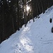 eisig