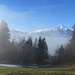 letzte Nebelschwaden oberhalb Oberste Leui - während des ersten Blicks auf den Niesen ...