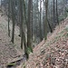 Steiles Kerbtal des Gabenbaches, der Talboden ist die günstigere Route.