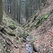 Steiles Kerbtal des Gabenbaches, Blick talwärts