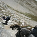 Der Klettersteig kurz nach der Hütte