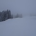 An der Nebel-Untergrenze (ca. 1350 m). Ab hier wird er knüppeldick ..