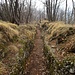 Camminamenti del Monte Orsa ( linea Cadorna )