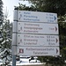 Hier gehts los: Wegweiser am P in Oberammergau
