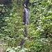 Kleiner Wasserfall im Park