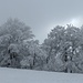 die winterlich-schöne Baumreihe am Laupersdörfer Stierenberg besticht ebenso wie ...
