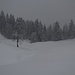 Bei der Gschwendmiesalpe.
