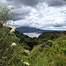 Vue sur le lac Rotomahana depuis le sommet du Mt. Haszard Trail
