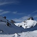 Wildseeluggen