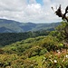 Blick auf die Hügel im Osten, irgendwo dort liegt auch das bekanntere Reservat Monteverde