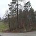 bei P. 680 (Hönger Chüeweid) - der WW geht über die Treppe in den Wald hoch; die Strasse (rechts) ist aktuell gesperrt
