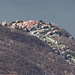 Pino (Italia)