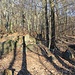 Steingarten