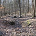Schürfmulde/Pinge
