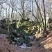 Sandsteinfelsenwildnis