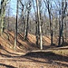 Steinbruch/Tagebau