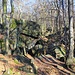 Sandsteinfelsenwildnis