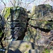 Sandsteinfelsenwildnis