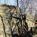 Sandsteinfelsenwildnis