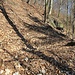 Schachtpinge (Mittelalterlicher Erzbergbau)