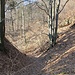 Steinbruch/Tagebau