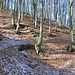 Herrlicher Flurweg