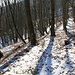Hangterrassierung