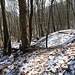 Hangterrassierung