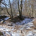 Steinbruch und vereister Hohlweg
