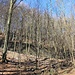 Stützmauer eines Flurweges