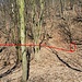 Verbrochenes Stollenmundloch mit dazugehöriger Haldenschüttung