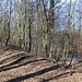 Hradiště Osek, Ringwall