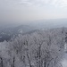 Blick vom Aussichtsturm nach Osten...