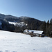 Almgelände oberhalb des Zellbodens