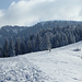 Hinter dem Wald, der weiße Buckel...