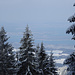Durchguck zum Chiemsee