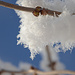 Noch mehr Eiskristalle