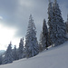 Winterlandschaft am Eiskeller